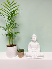 Gloss Resin Buddha White - Various Sizes