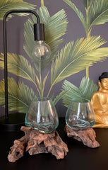 Coffee Root with Glass Bowl - Small