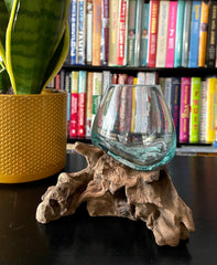 Coffee Root with Glass Bowl - Small