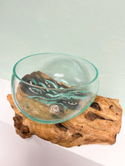 Coffee Root with Glass Bowl - 15cm