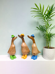 Bamboo Ducks with Painted Hats and Boots