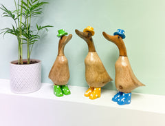 Bamboo Ducks with Painted Hats and Boots