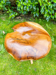Small Teak Mushroom - 30cm