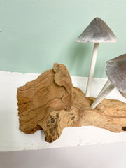 Wood Painted Mushroom x 3