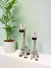 Funky Zebra - Various Sizes
