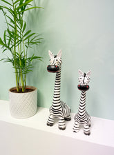 Funky Zebra - Various Sizes