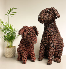 Noodle Puppy - Sitting