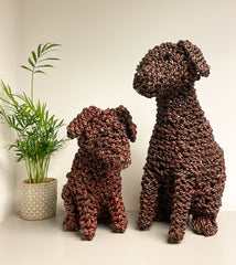 Noodle Puppy - Sitting