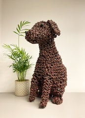 Noodle Puppy - Sitting