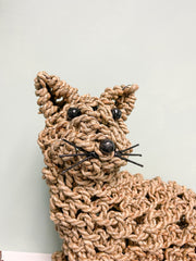 Knotted Rope Cat