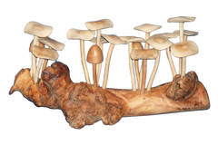 Parasite Mushroom on Log Statue - Set of 20