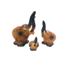 Elephant Whistle Brown - Various Sizes