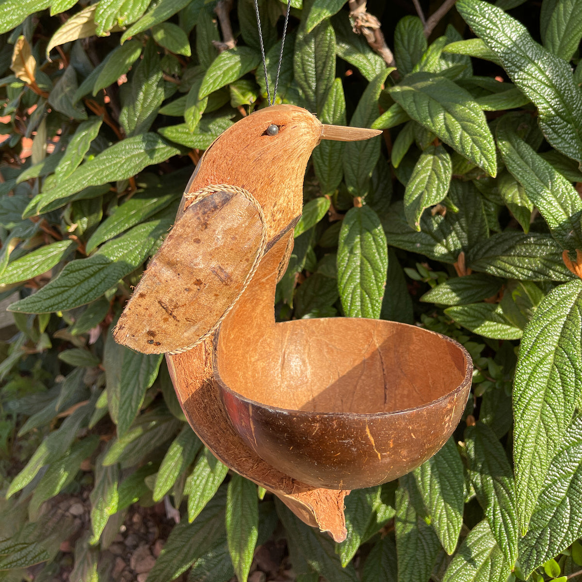 Coconut Bird Feeder - Bird