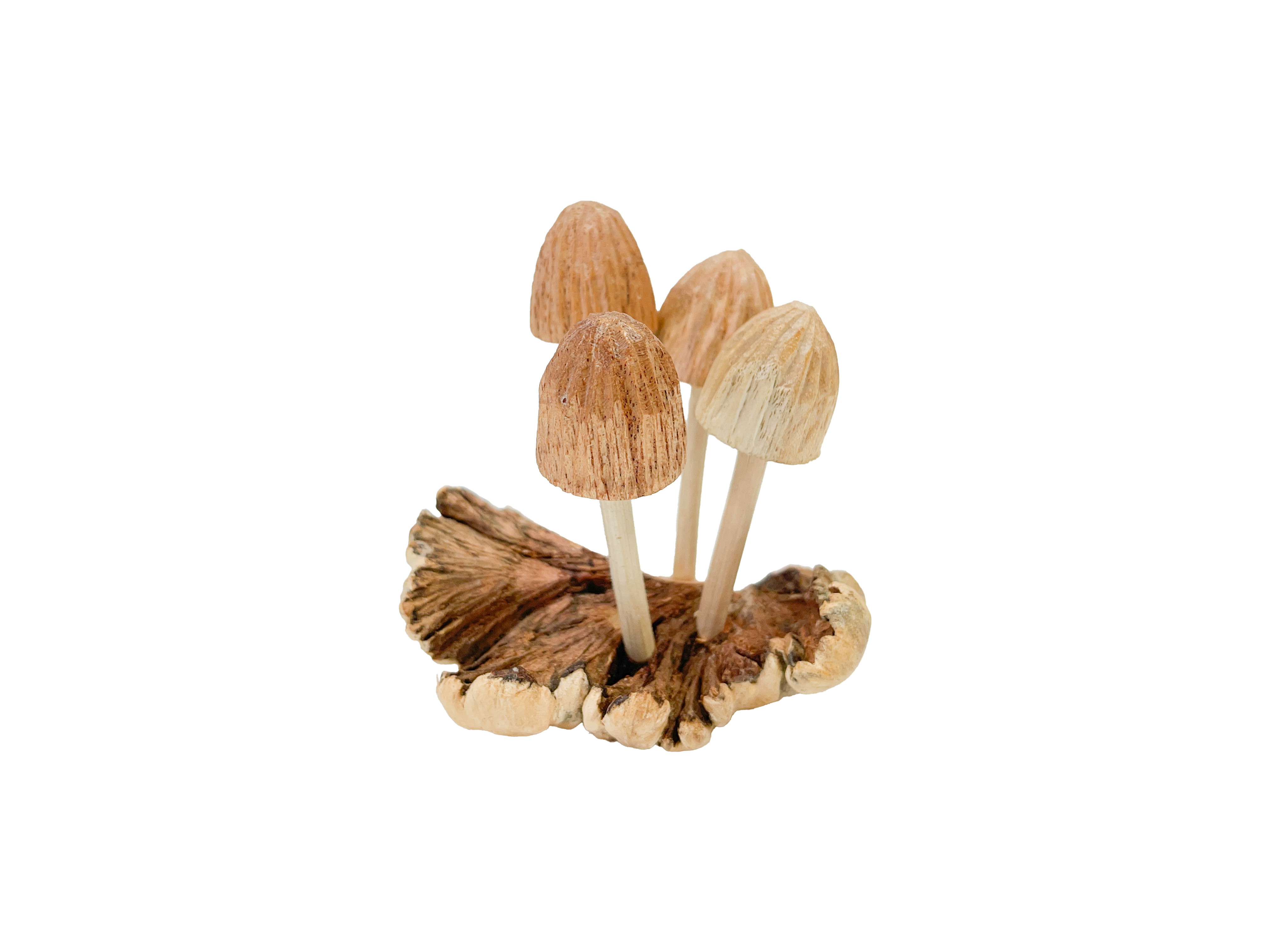 Wooden Mushrooms Group of Four on Parasite Wood