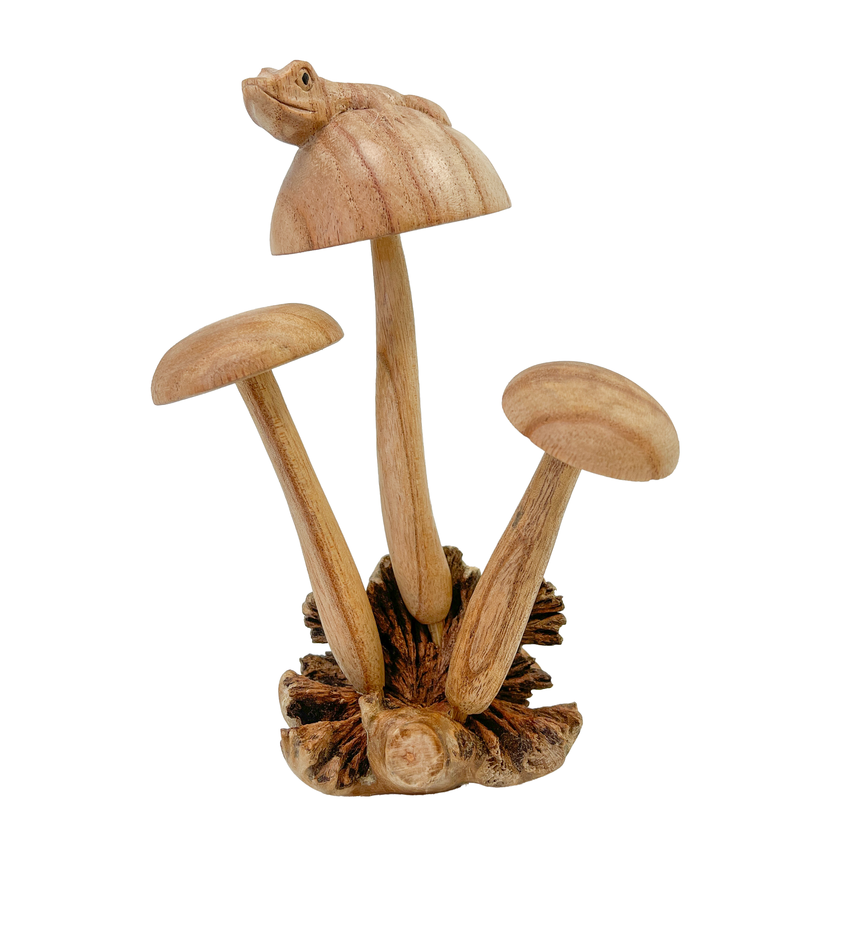 Wooden Frog on Three Mushrooms Parasite Wood