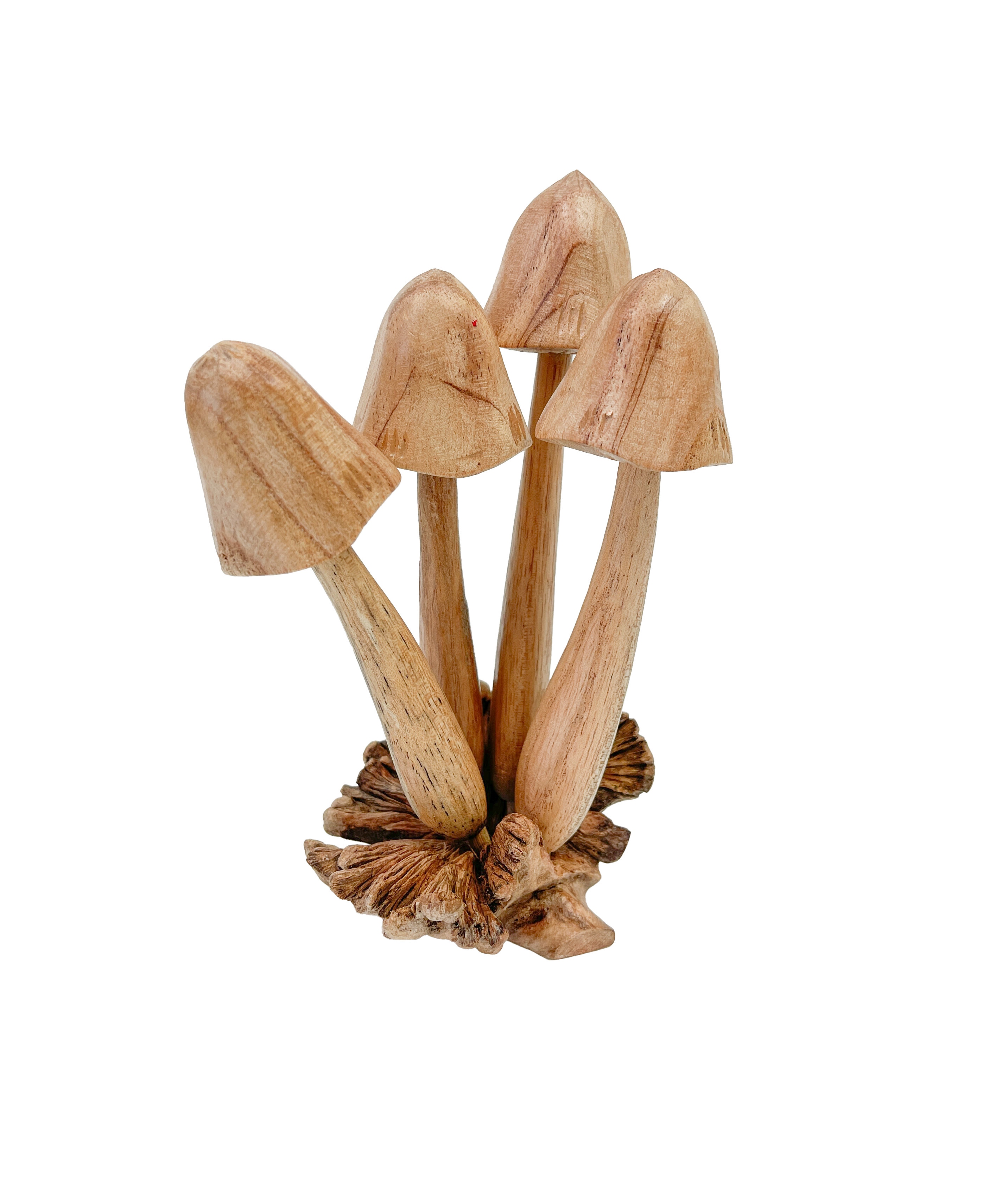 Mushrooms Toadstools Group of Four on Parasite Wood