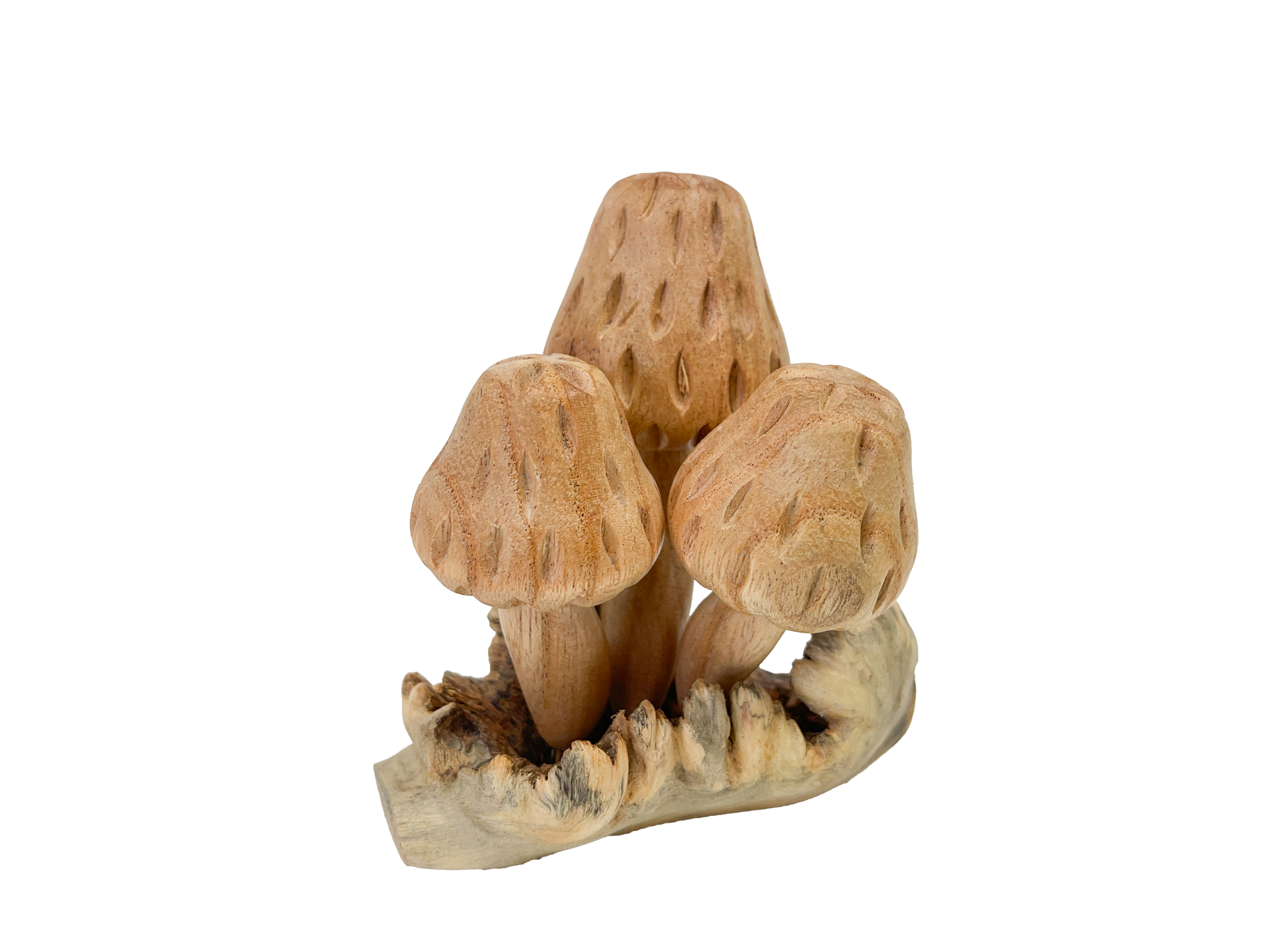 Wooden Morel Mushrooms Group of Three on Parasite Wood