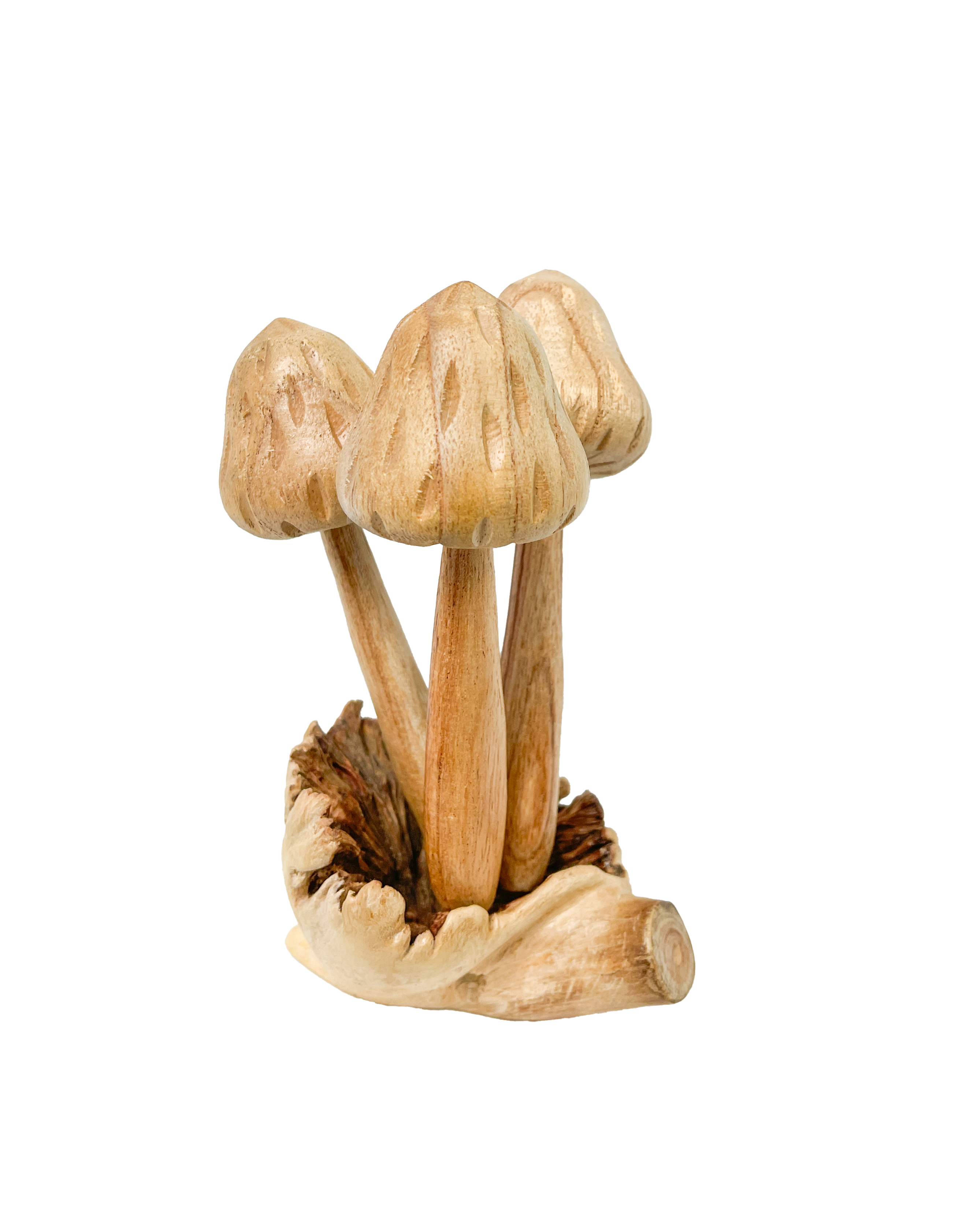 Wooden Morel Mushrooms Group of 3 on Parasite Wood