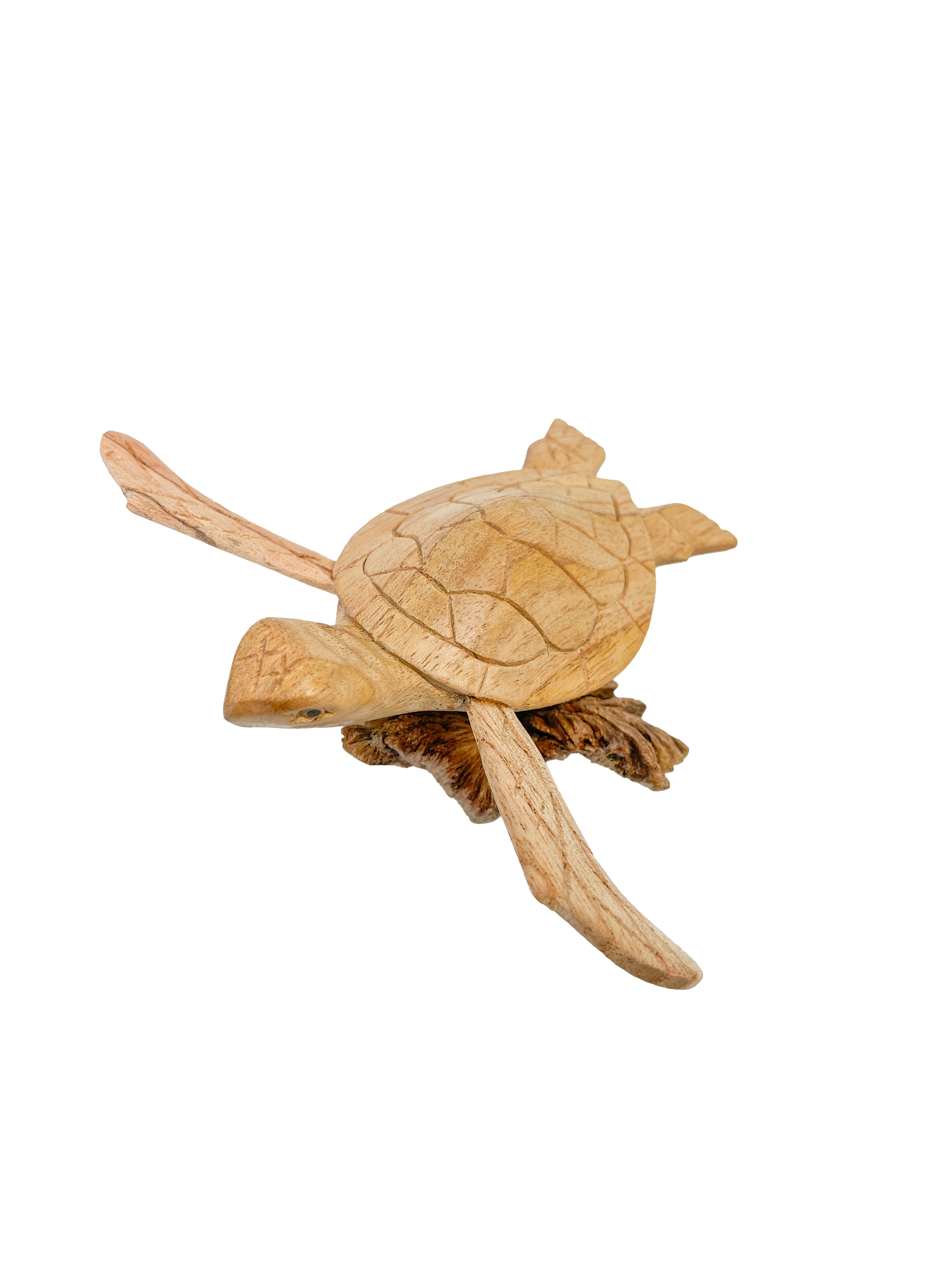 Wooden Turtle Ornament on Parasite Wood