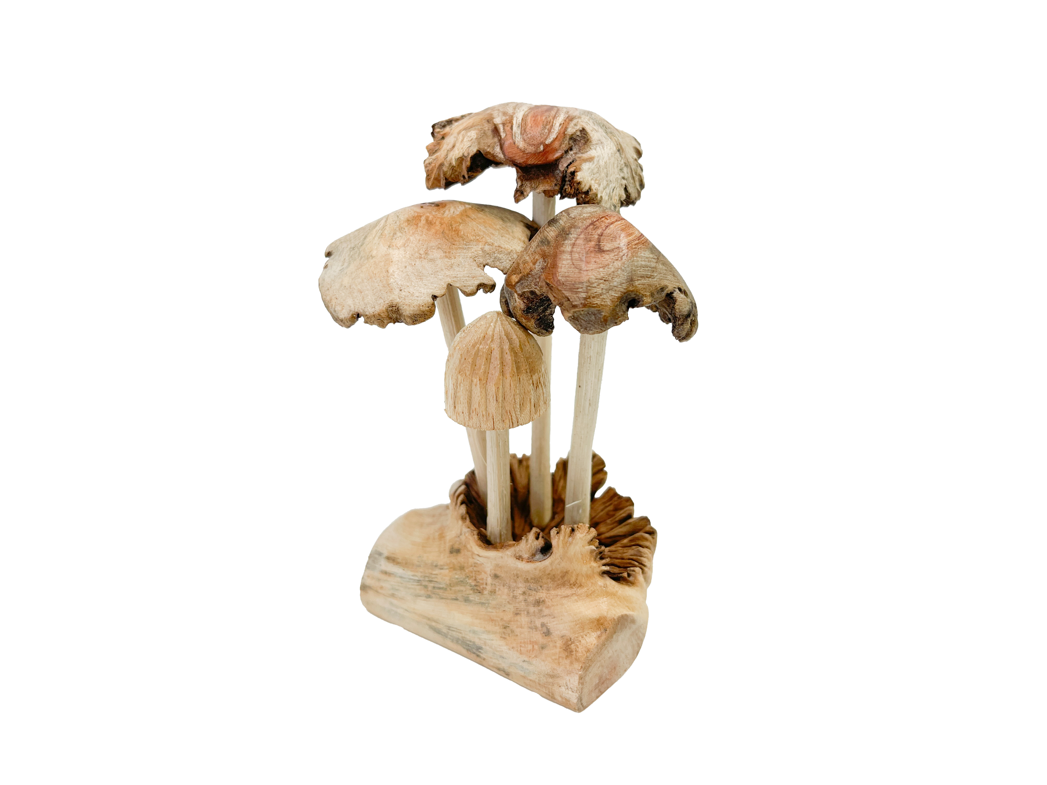 Mushrooms Toadstools Group of Four on Parasite Wood