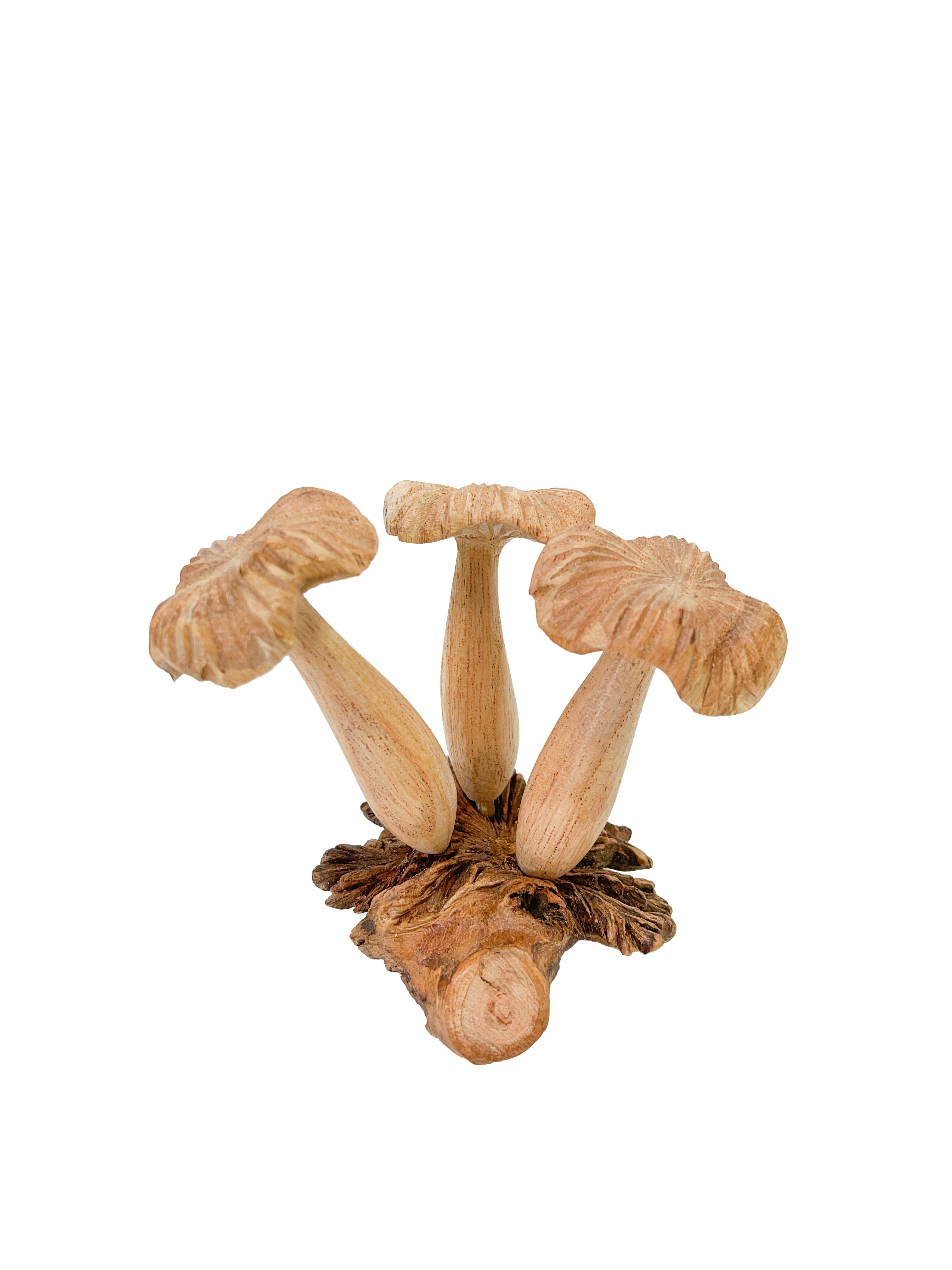 Wooden Mushrooms Group of Three on Parasite Wood