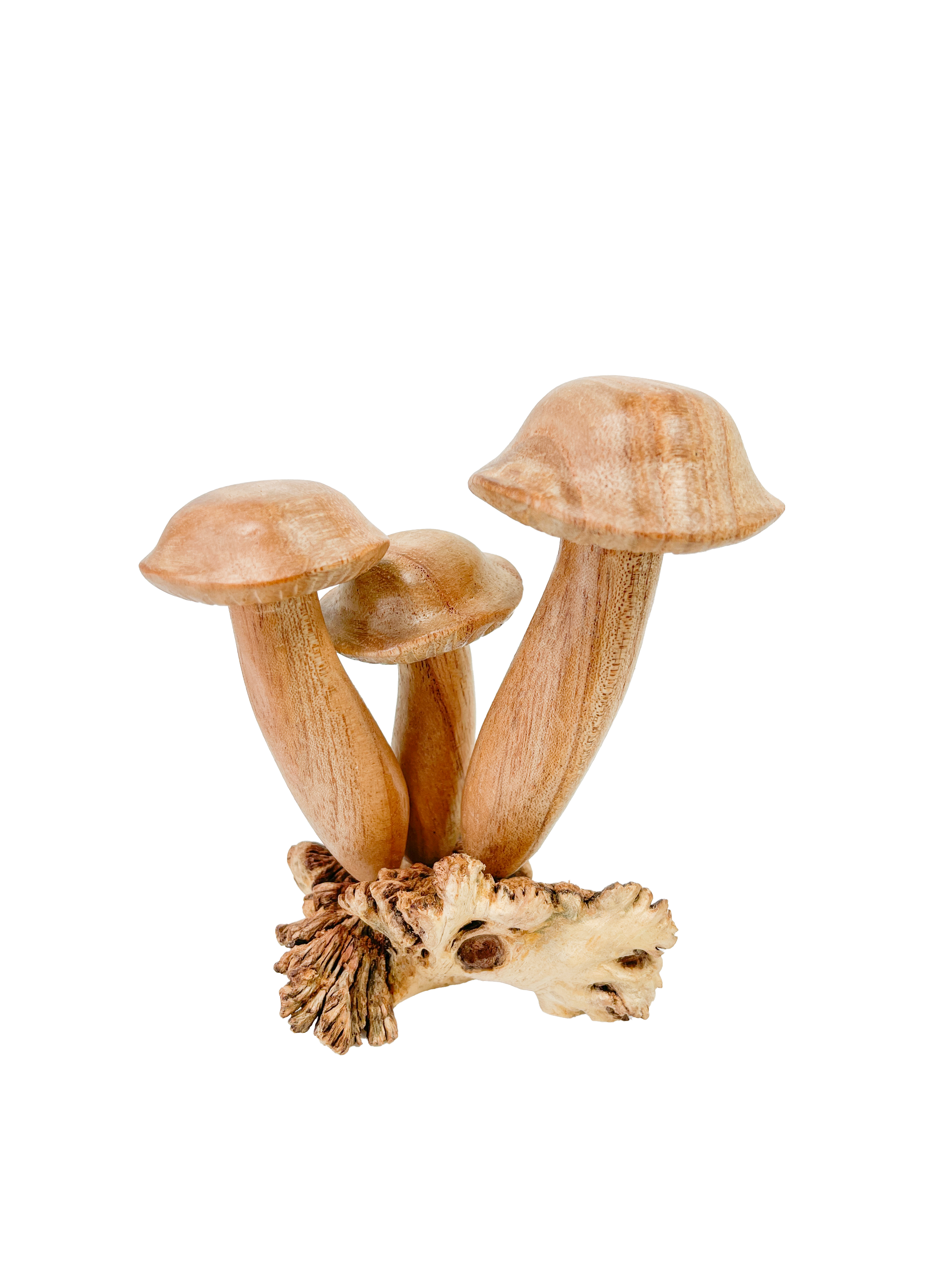 Copy of Wooden Mushrooms Group of Three on Parasite Wood