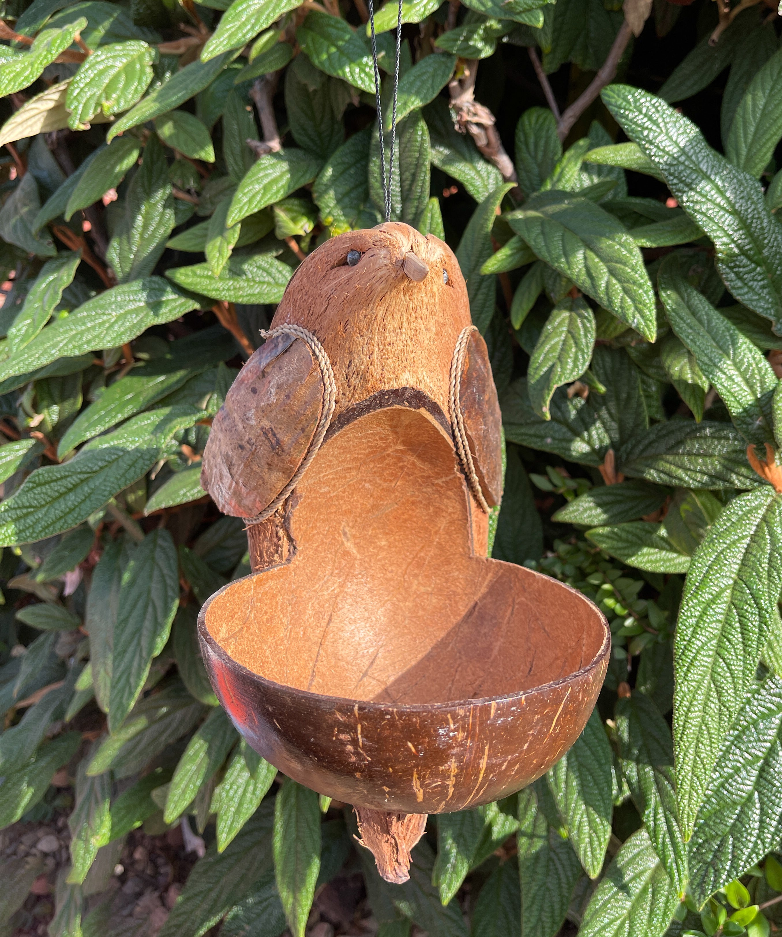 Coconut Bird Feeder - Bird