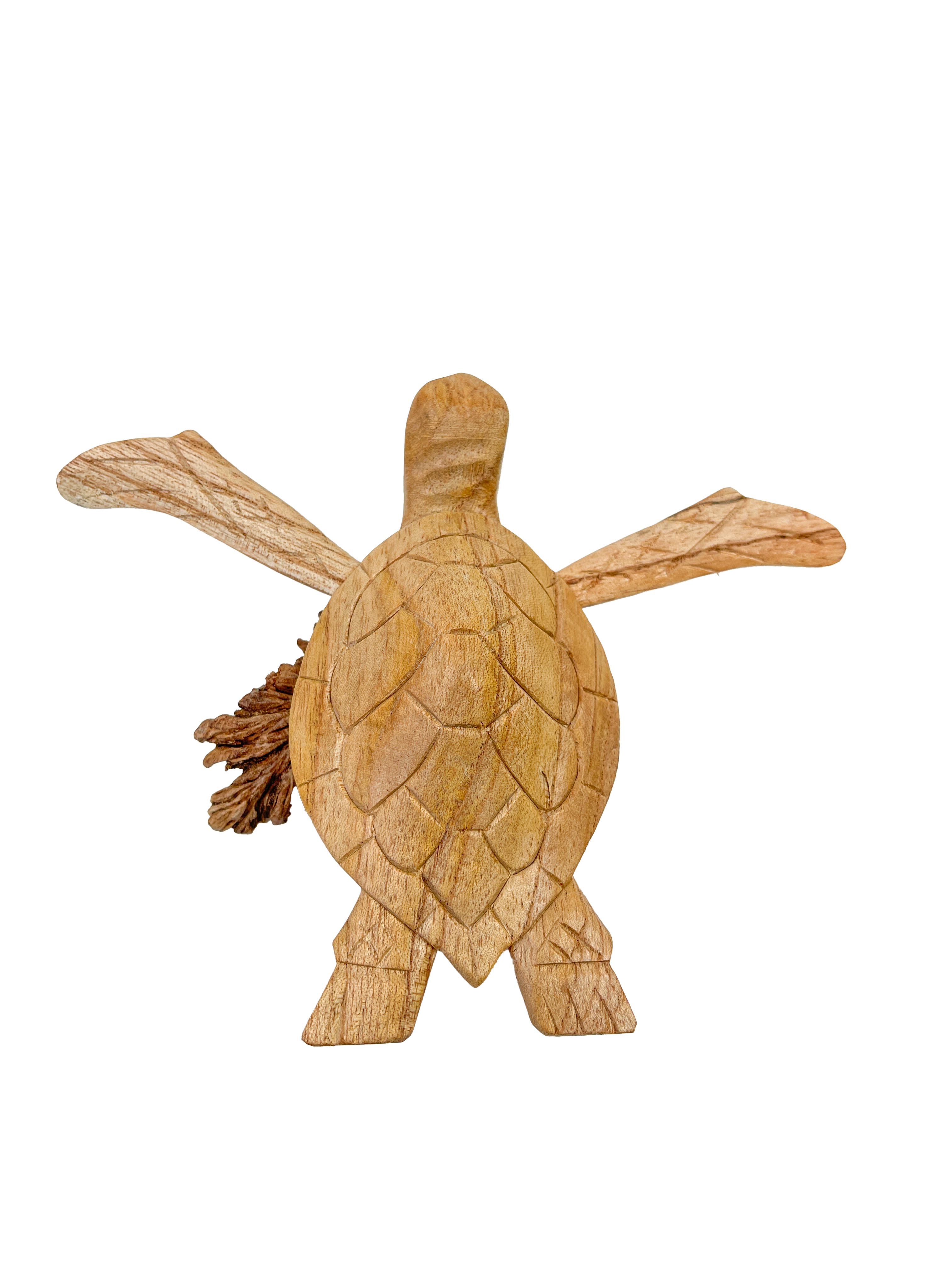 Wooden Turtle Ornament on Parasite Wood