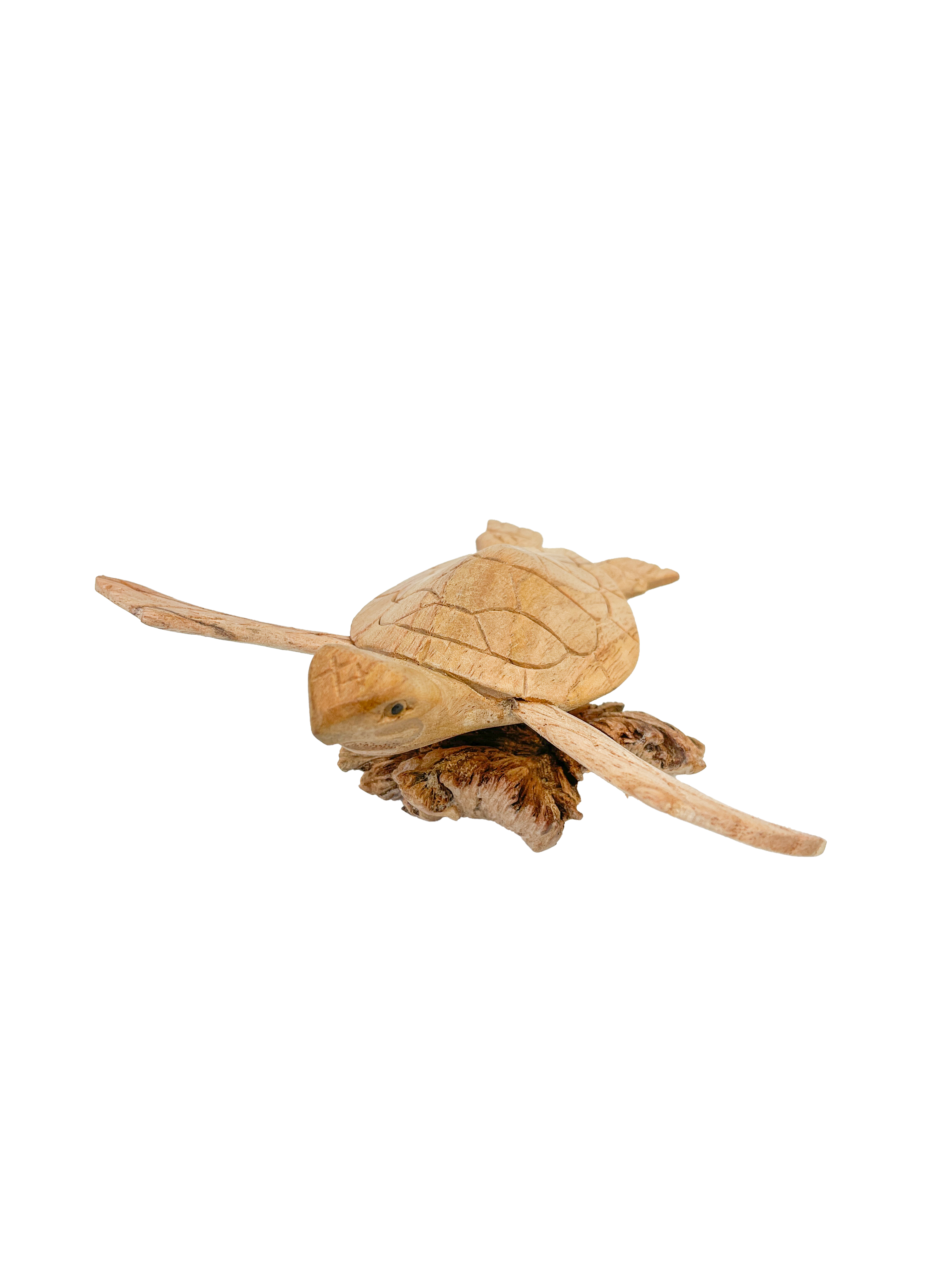 Wooden Turtle Ornament on Parasite Wood