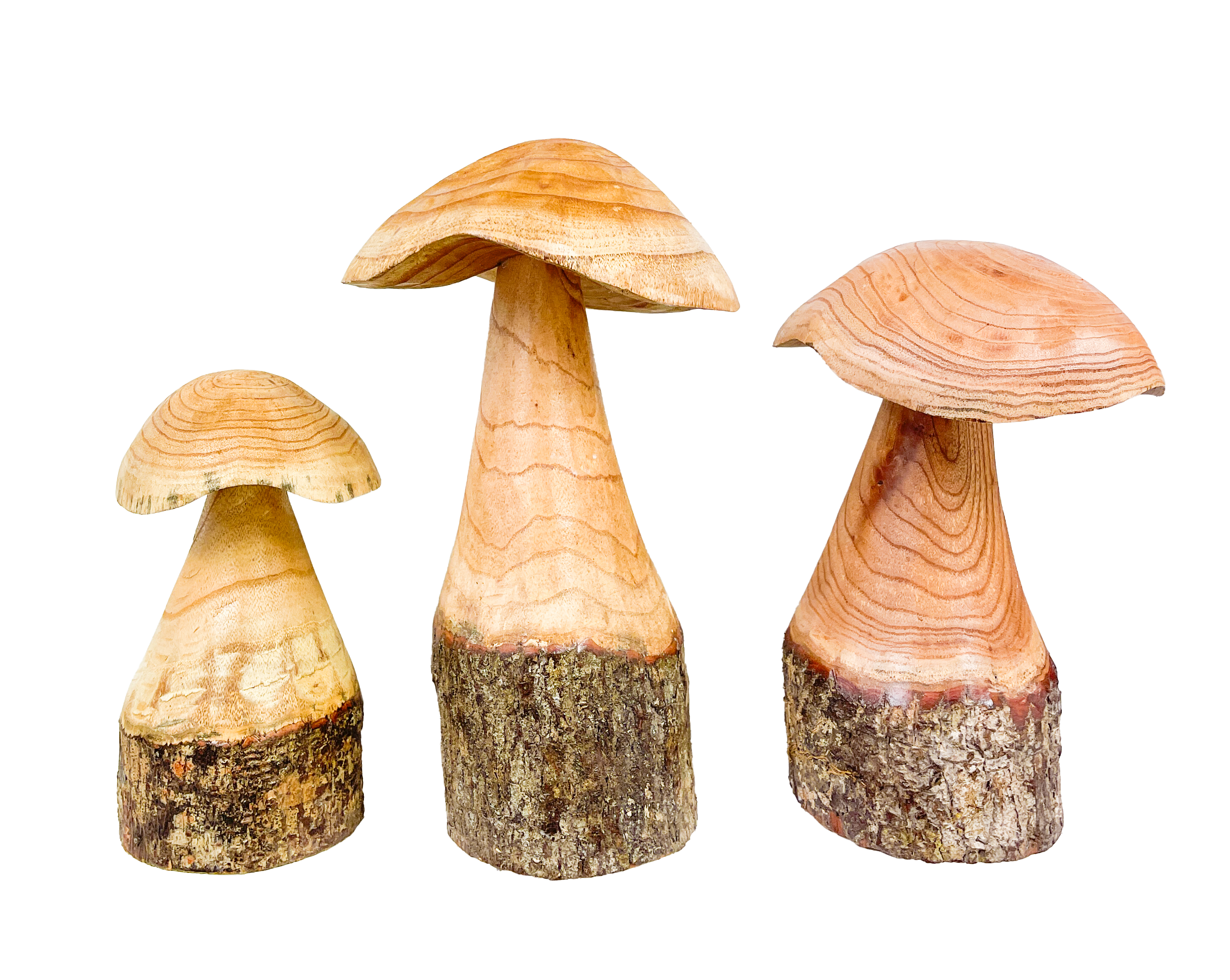 Wooden Carved Mushrooms Set of 3