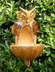 Coconut Bird Feeder - Owl