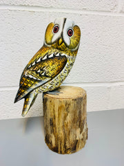 Handpainted Carved Tawny Owl on Wood