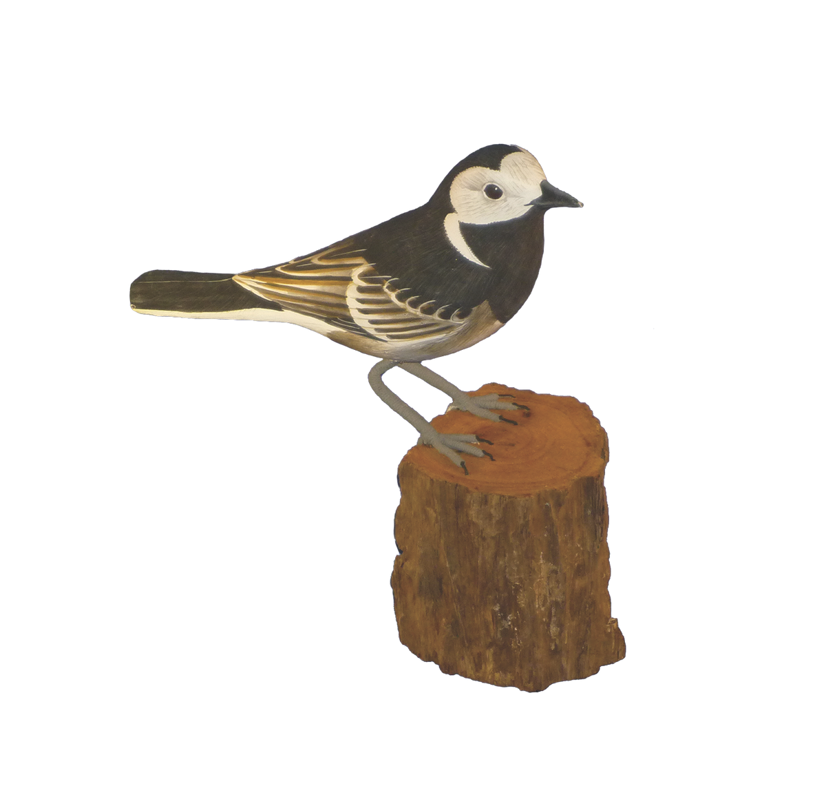 Handpainted Carved Pied Wagtail on Wood