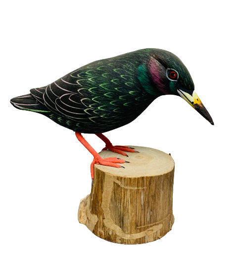 Handpainted Carved Starling on Wood
