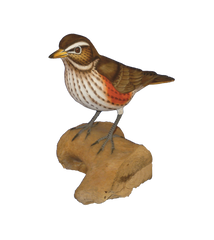Handpainted Carved Redwing on Wood