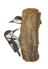 Handpainted Carved Spotted Woodpecker & Baby on Wood