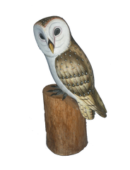 Handpainted Carved Wooden Barn Owl