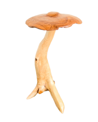 Freestanding Teak Mushroom 80cm