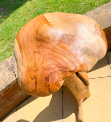 Freestanding Teak Mushroom 80cm