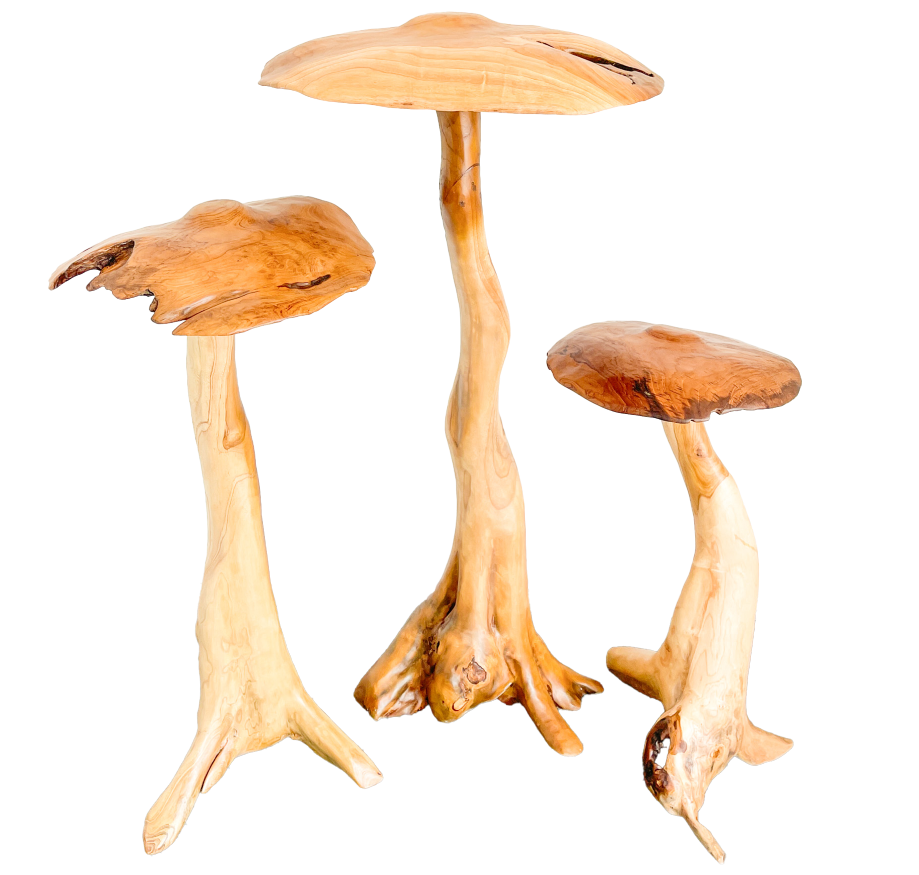 Large Teak Mushroom Set of Three - 80cm, 100cm and 120cm