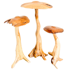 Large Teak Mushroom Set of Three - 80cm, 100cm and 120cm