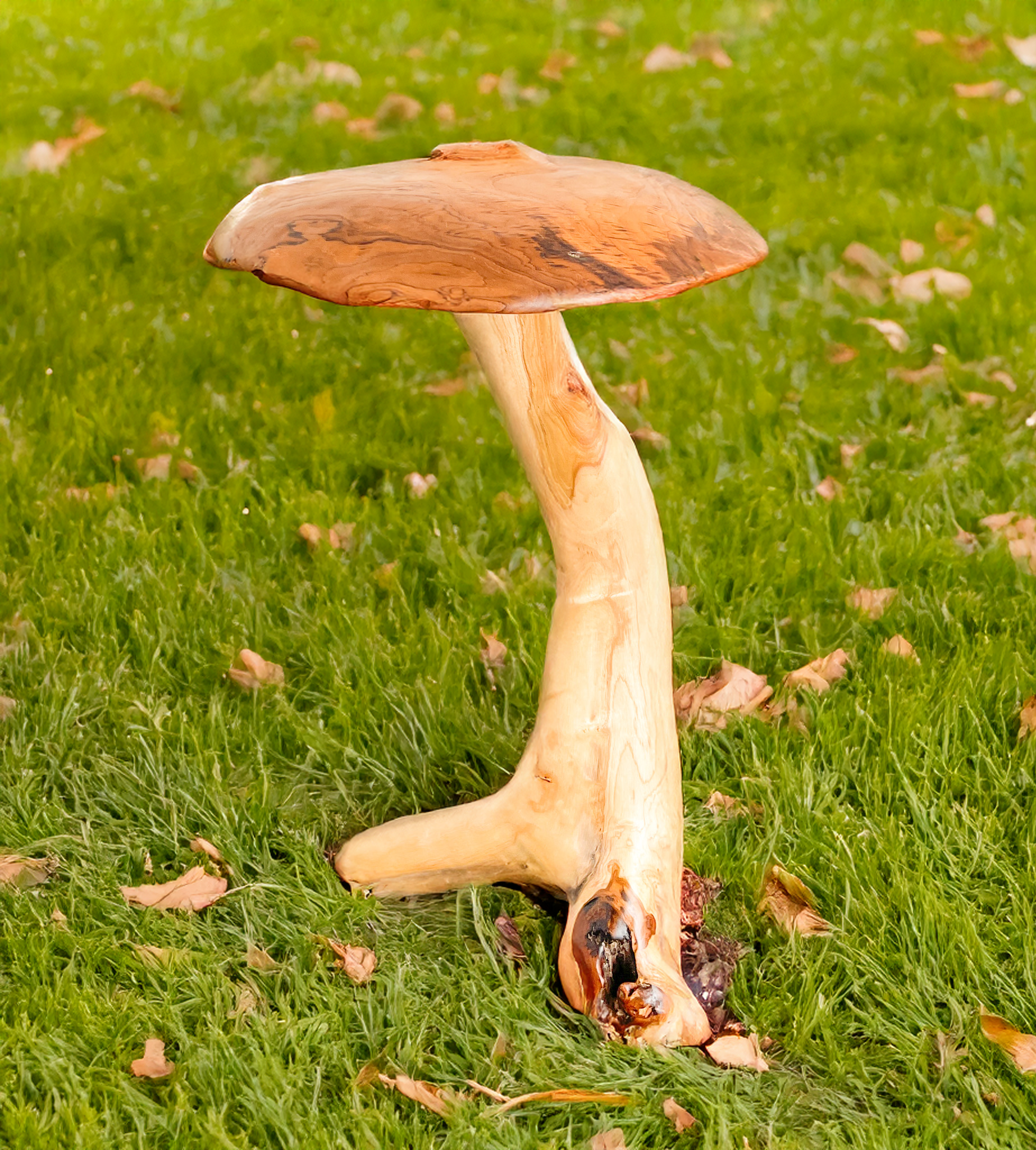 Freestanding Teak Mushroom 80cm