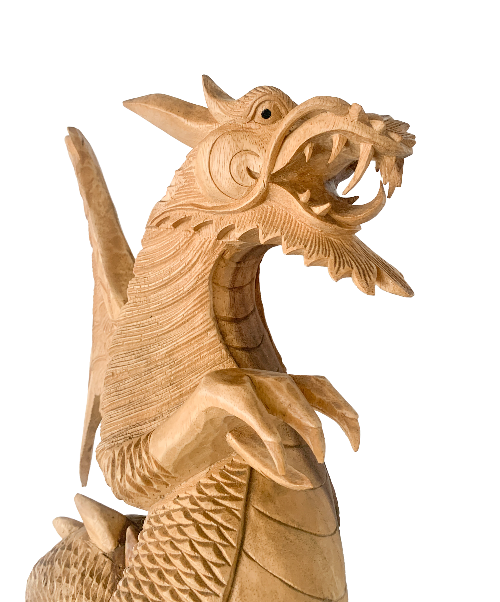 Wood Dragon - 60cm