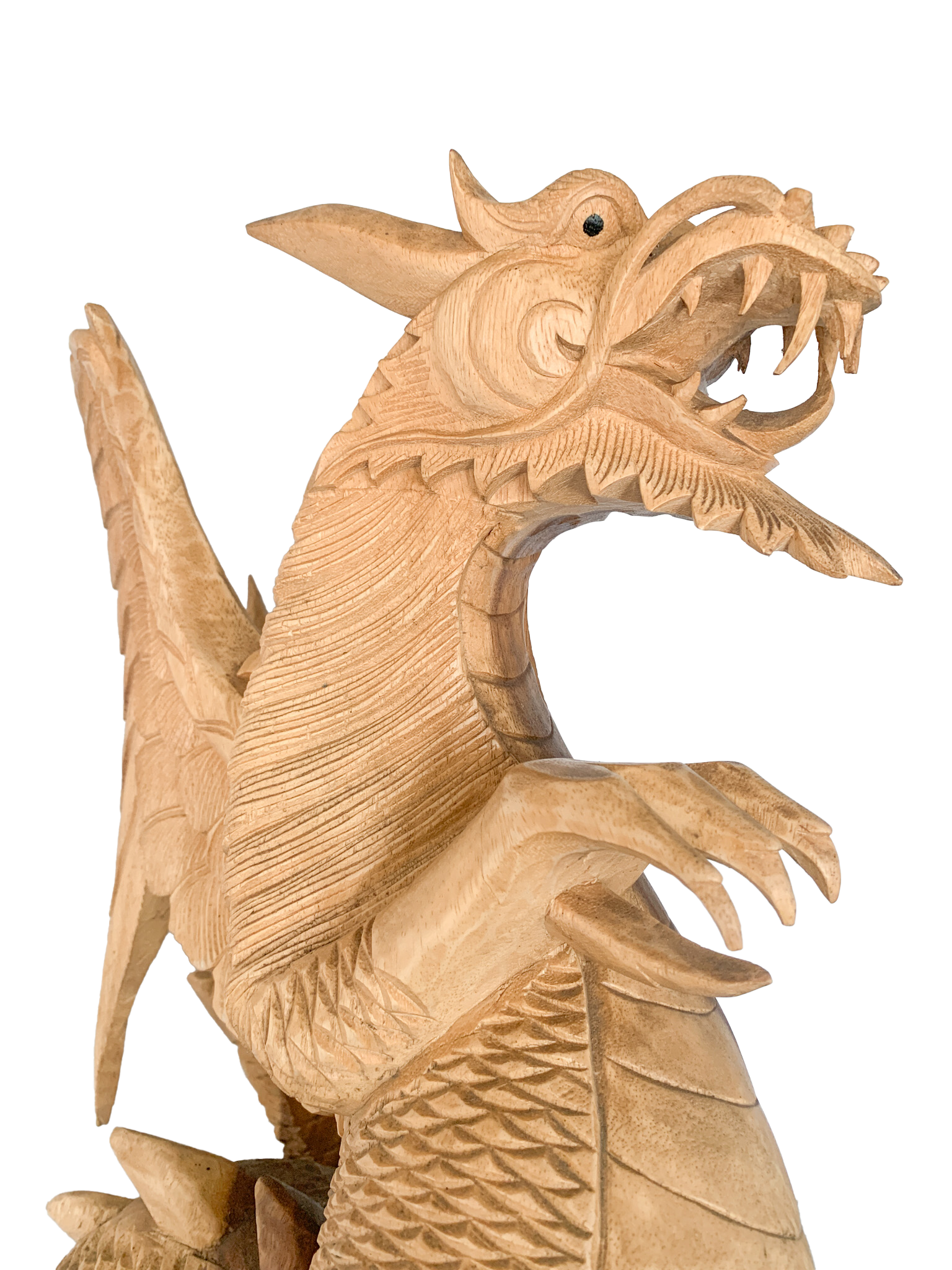 Wood Dragon - 60cm