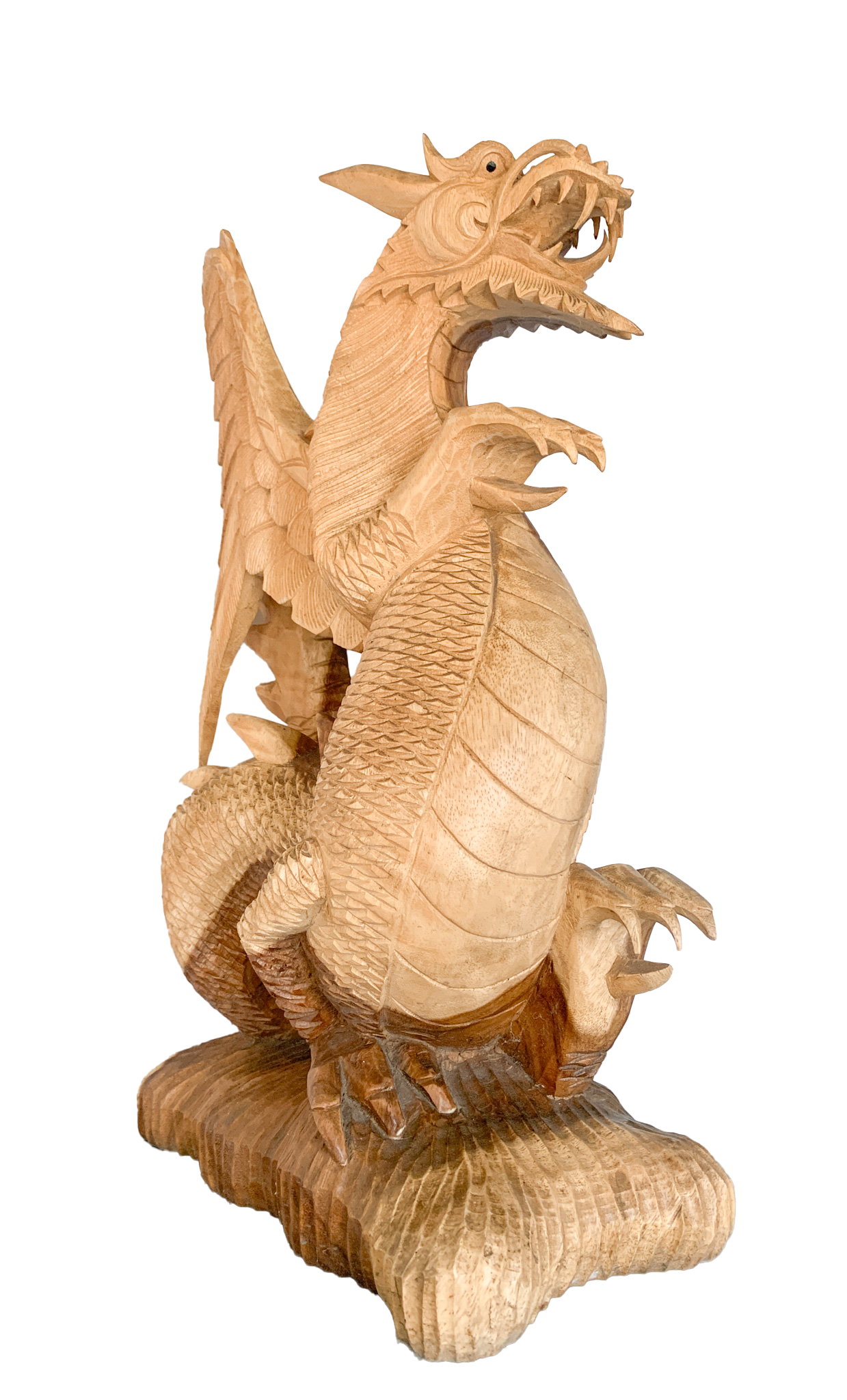 Wood Dragon - 60cm