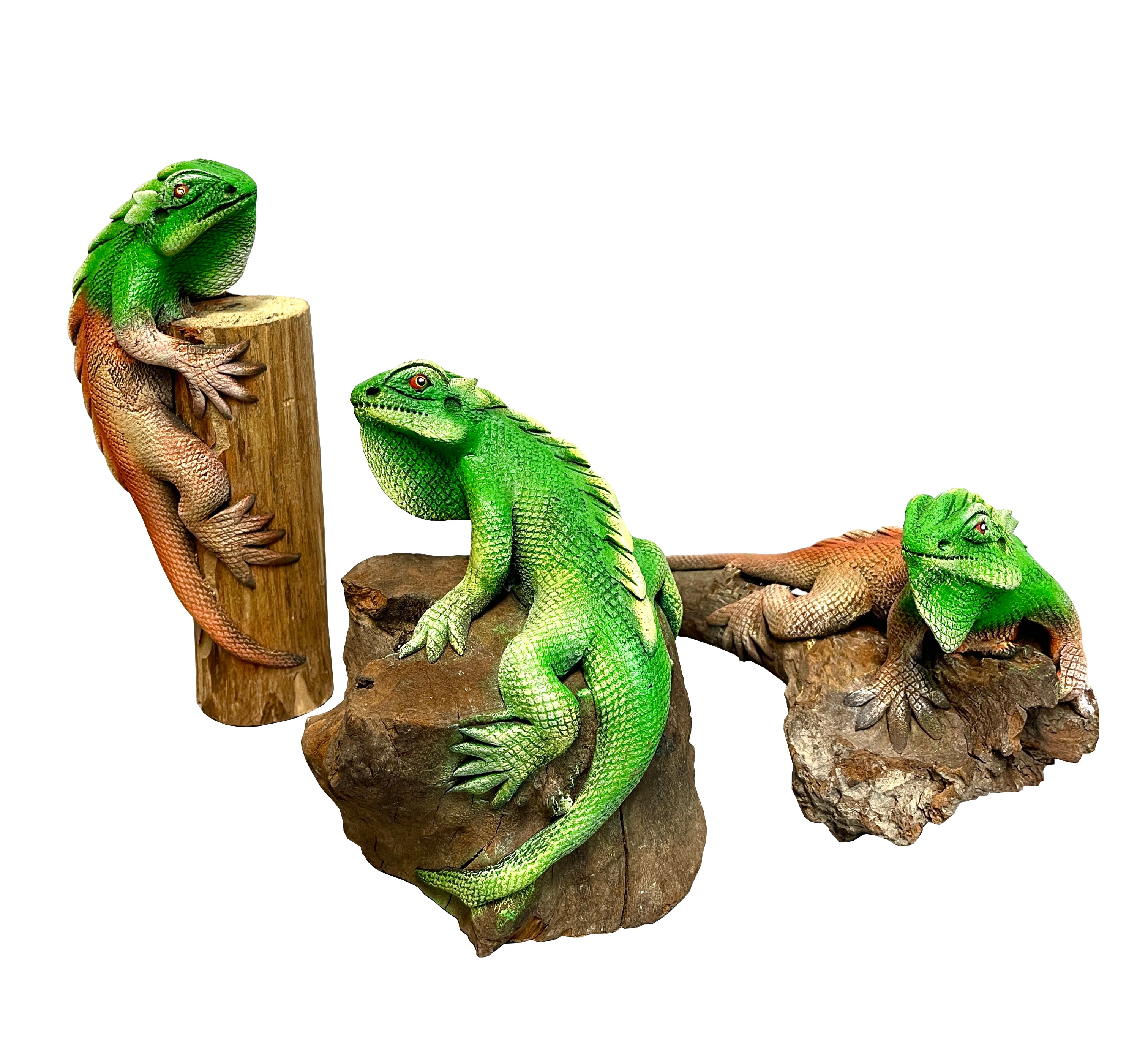 Iguana on wood