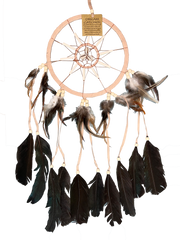 Dreamcatcher Indian - Various Sizes