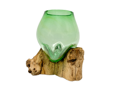 Coffee Root with Glass Bowl  Green - Small