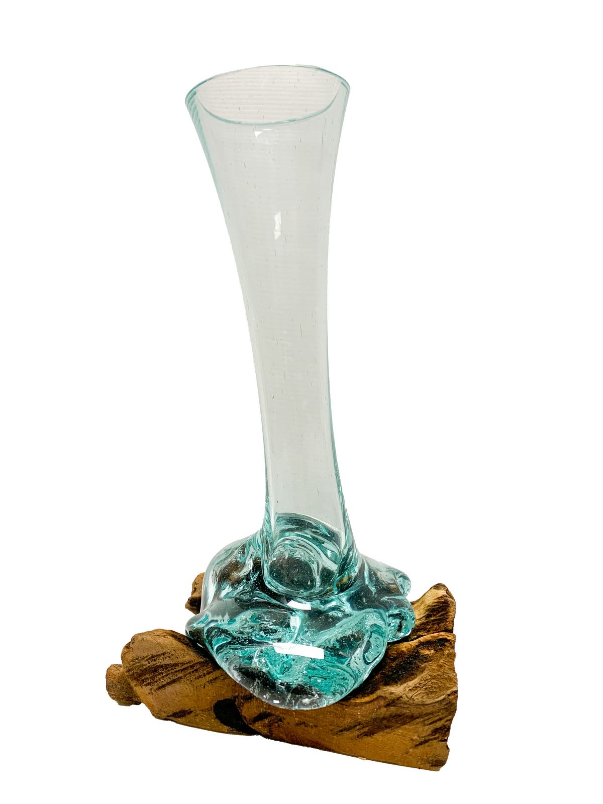 Coffee Root with Glass Vase Small