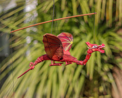 Coconut Flying Dragon - Red